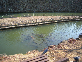 姫路城 <前編>_e0033570_10103430.jpg