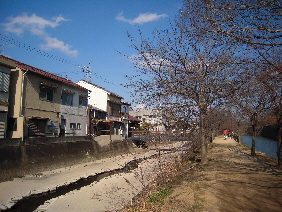 姫路城 <前編>_e0033570_1011085.jpg