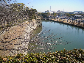 姫路城 <前編>_e0033570_1043670.jpg