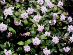 b0134673_14103632.jpg