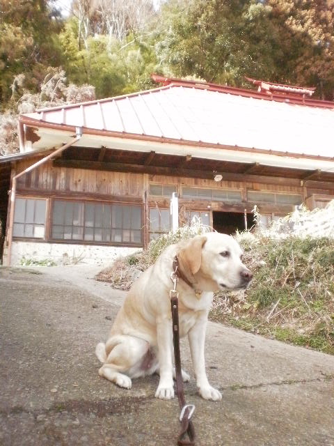 f0052277_15162.jpg