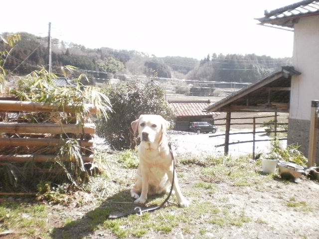 f0052277_15358.jpg
