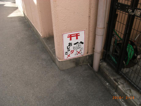 b0002879_22342814.jpg