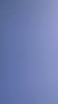 b0134285_1640235.jpg