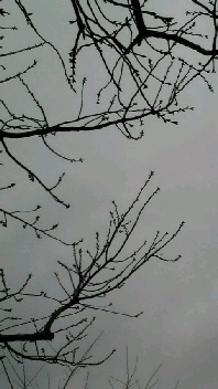 b0134285_16464692.jpg