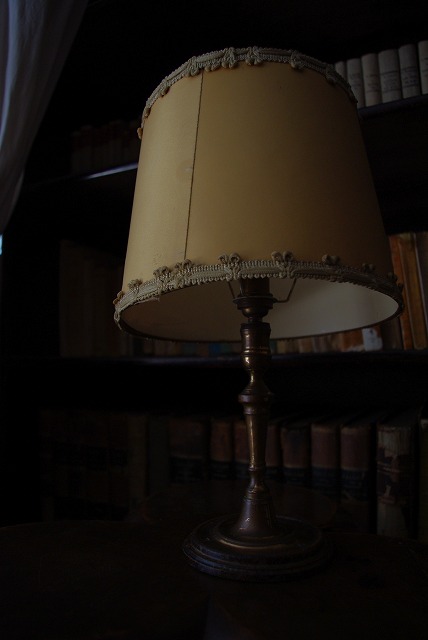 Stand Lamp_c0143989_13133124.jpg