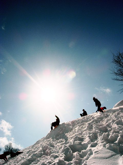 a0093592_12264278.jpg