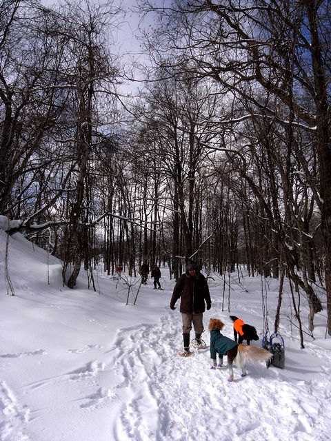 a0093592_13342116.jpg