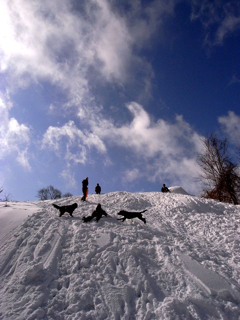 a0093592_15124983.jpg