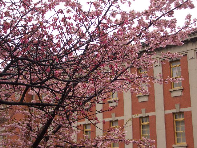c0152507_10313555.jpg
