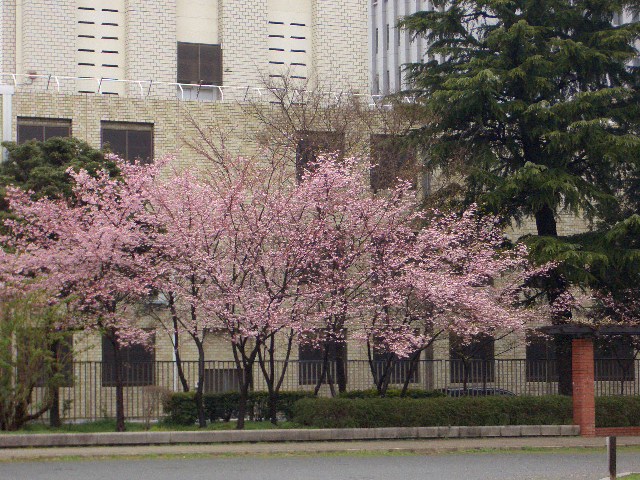 c0152507_10314446.jpg