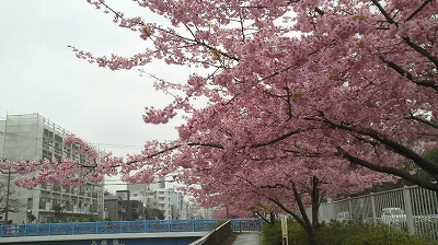 e0062207_12515419.jpg