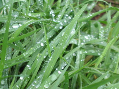 c0178009_1454672.jpg
