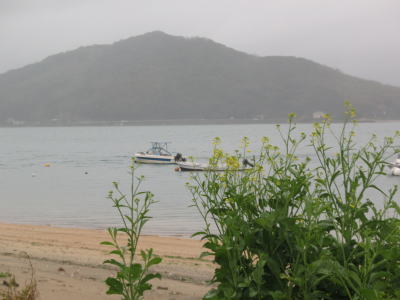c0178009_1640287.jpg