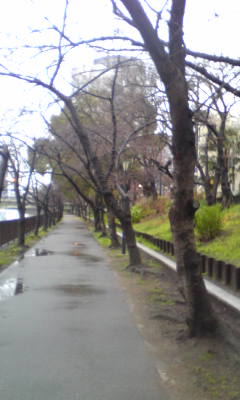 c0180209_2213453.jpg