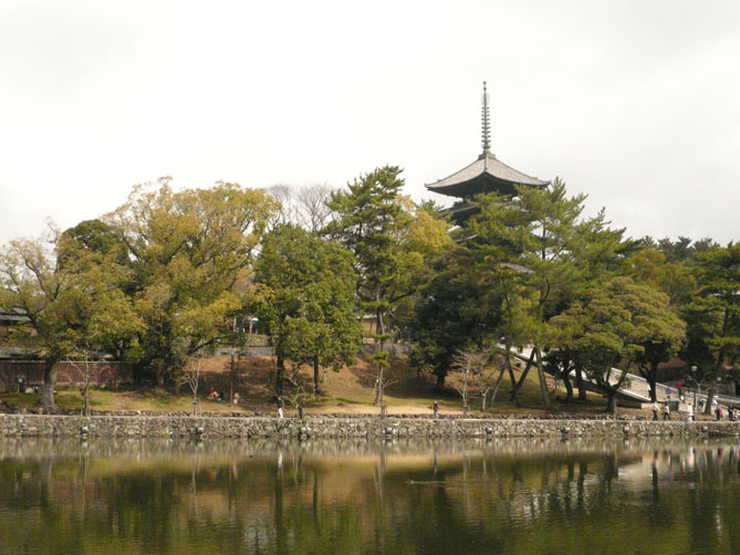 奈良への旅 其の一_f0201310_16234195.jpg