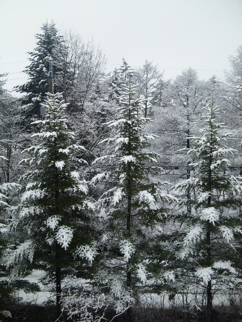 b0002311_22453979.jpg