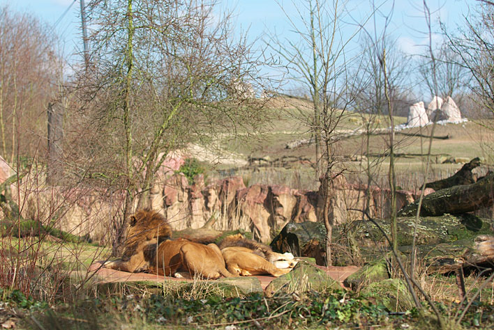 ZOOM Erlebniswelt _a0091329_22573798.jpg