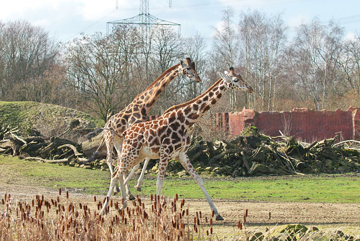 ZOOM Erlebniswelt _a0091329_22575546.jpg