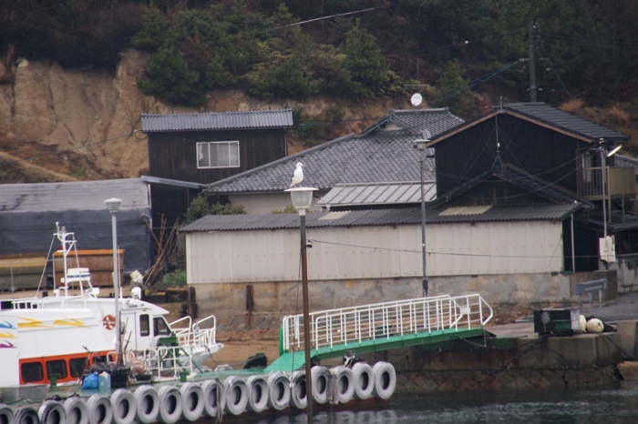 習志野から、てっきり岡山県と思ってた直島へ_c0022340_23171463.jpg