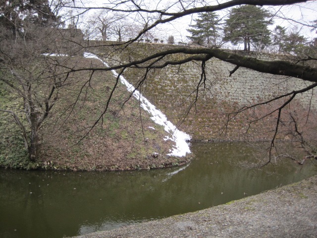 c0217246_1414580.jpg