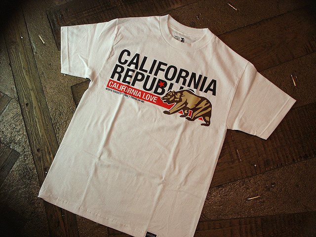 NEW : [DISSIZIT!] TEE-SHIRT 　　　　　　2010 SPRING/SUMMER !!_a0132147_2135045.jpg