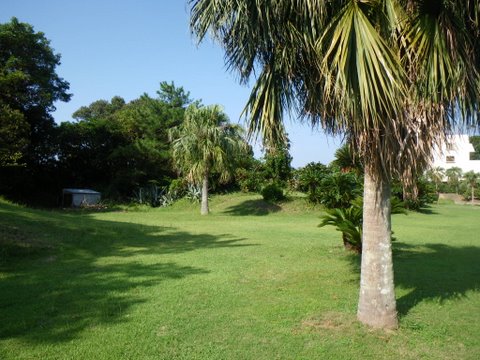 f0046250_0145743.jpg