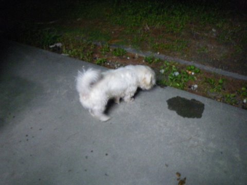 f0046250_12564.jpg