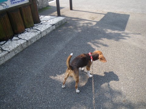 f0046250_1322164.jpg