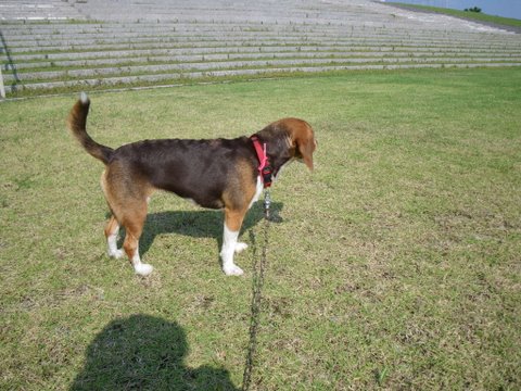 f0046250_13312112.jpg