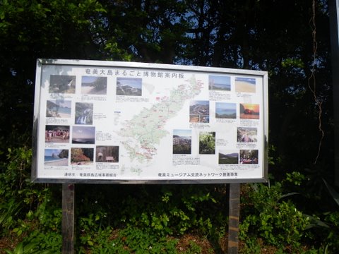 f0046250_1340359.jpg
