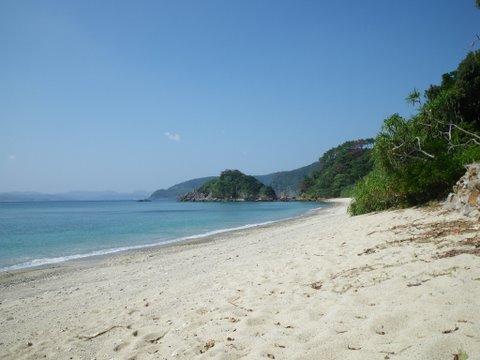 f0046250_14559.jpg