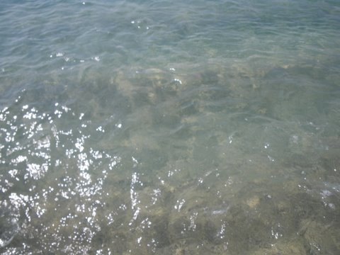 f0046250_15685.jpg