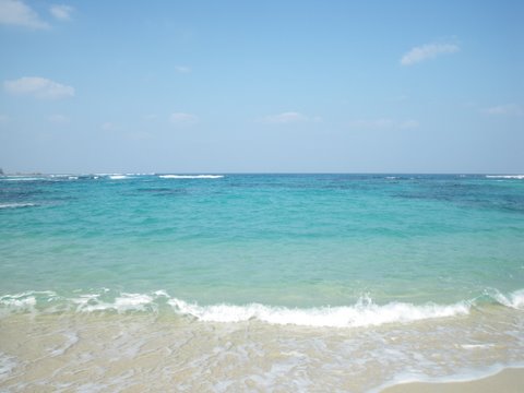 f0046250_20121324.jpg
