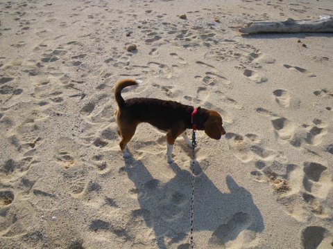 f0046250_2012620.jpg