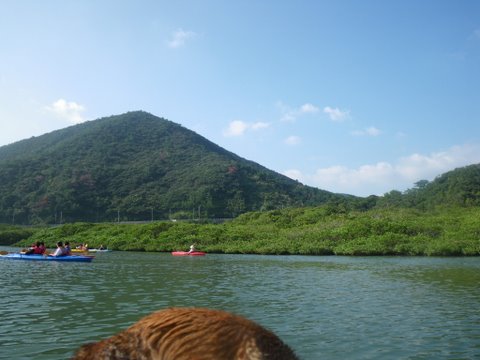 f0046250_21381982.jpg