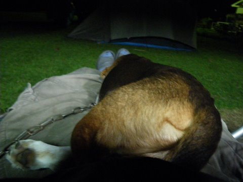 f0046250_2141189.jpg