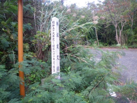 ワンデムタンデム０９秋：１０／30金 ／Ｄａｙ１3／加計呂麻島日帰り旅_f0046250_22314284.jpg