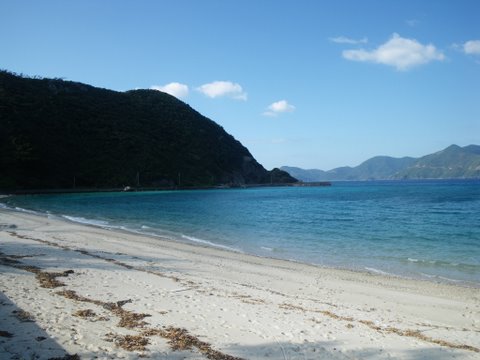 f0046250_237318.jpg