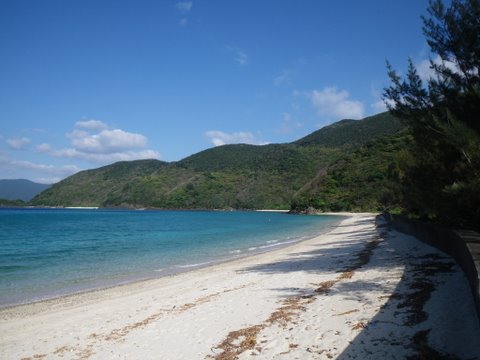 ワンデムタンデム０９秋：１０／30金 ／Ｄａｙ１3／加計呂麻島日帰り旅_f0046250_2374384.jpg