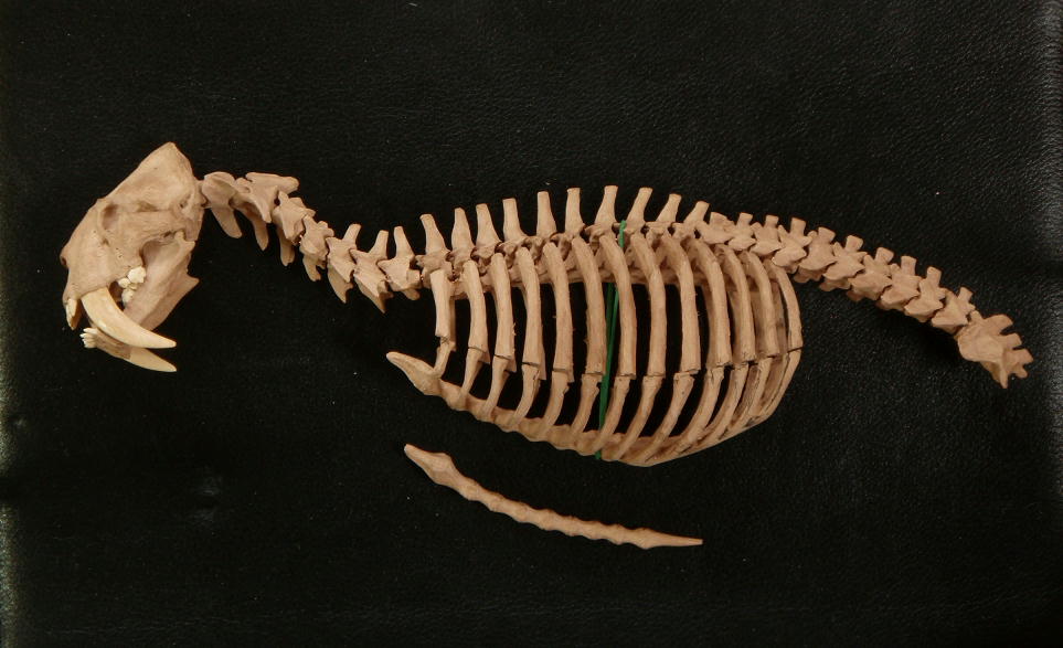 e0064457_14314261.jpg