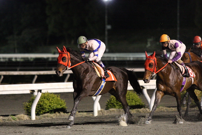 2010年3月7日（日） 高知競馬 10R 四万十川紀行特別 A4B1 選抜馬_a0077663_22122377.jpg