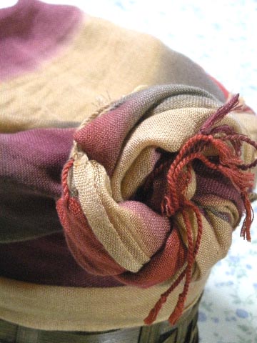 e0086864_2351650.jpg