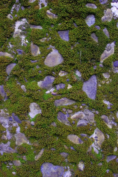 c0212766_22232899.jpg