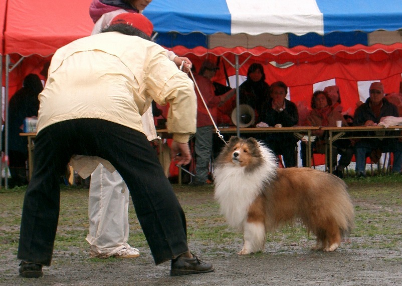 a0139367_20414598.jpg