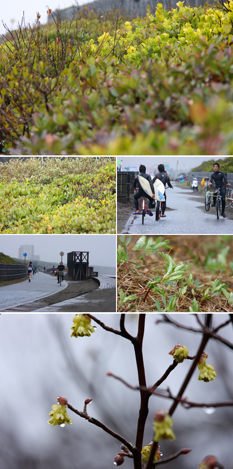 雨の日曜日....._a0157069_1333429.jpg