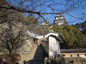 e0033570_19364289.jpg