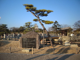 e0033570_195009.jpg