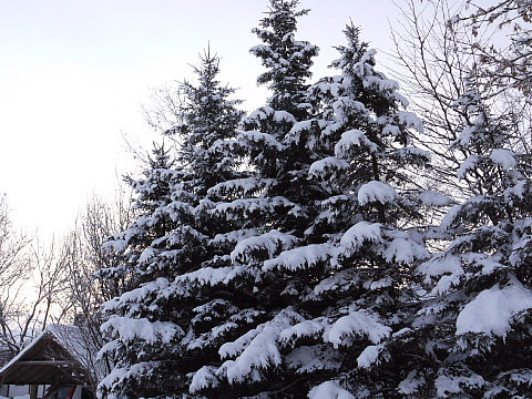c0209379_11304934.jpg