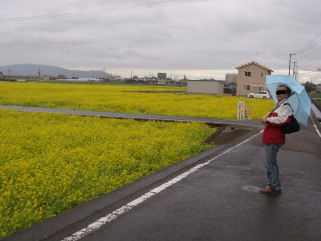 近代日本の水彩画とやらを・・・_b0142383_23344100.jpg